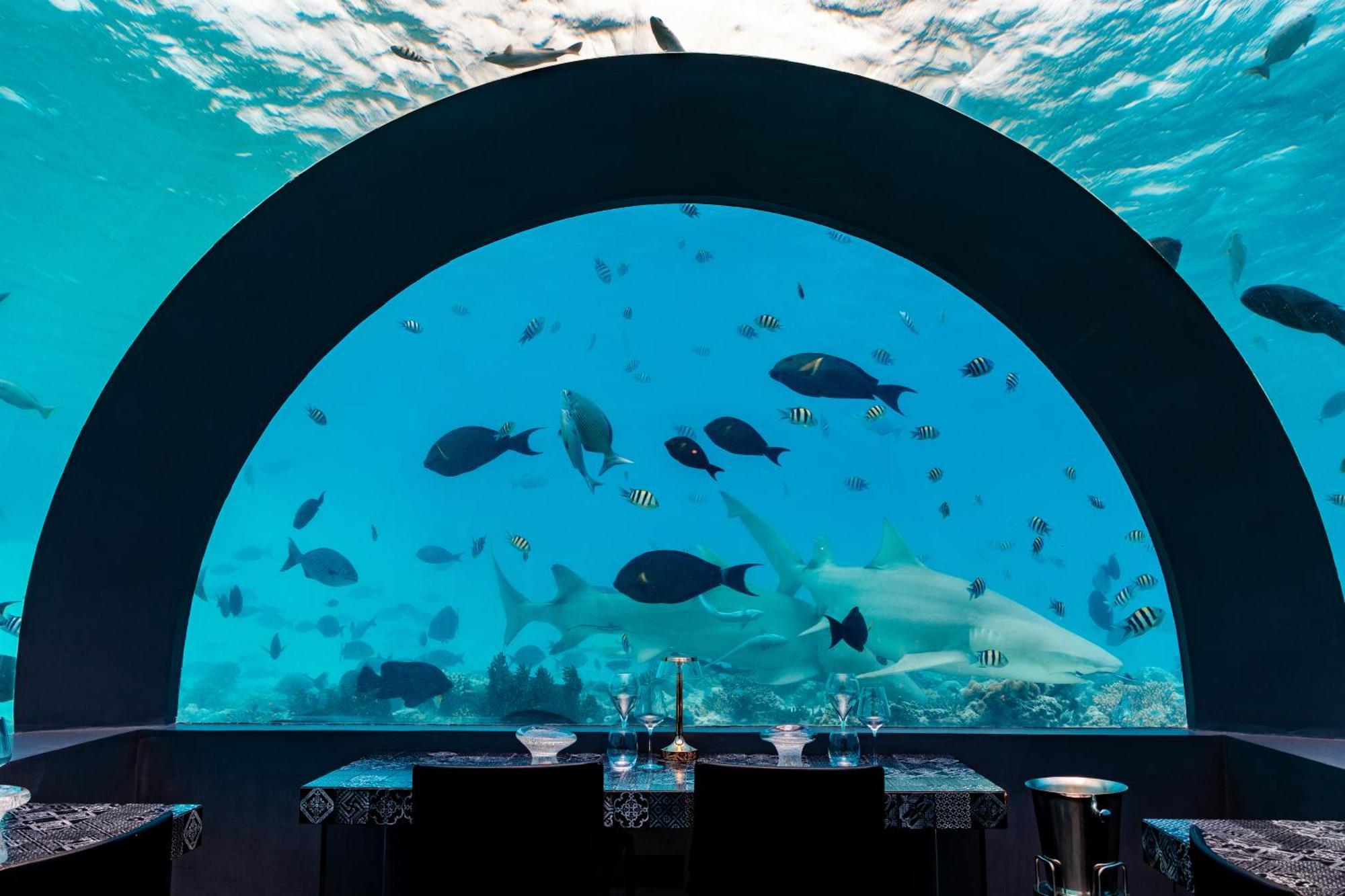 You & Me Maldives - Adults Only - Premium All-Inclusive Muravandhoo Eksteriør bilde